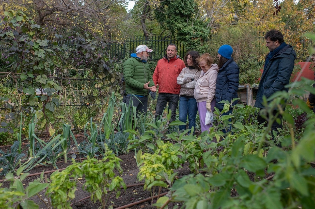 Los felices aprendices de hortelano en el corazón Madrid