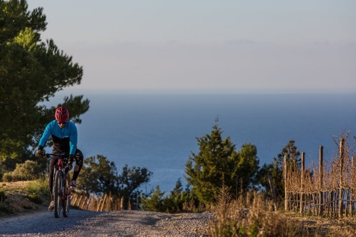 Ibiza en otoño e invierno: ruta ciclista por la reserva de Es Amunts