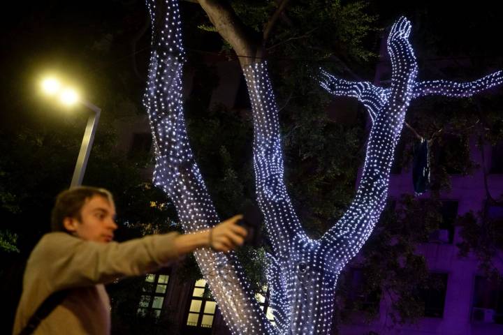Iluminación calle Larios (Málaga): ficus en la calle Alameda Principal
