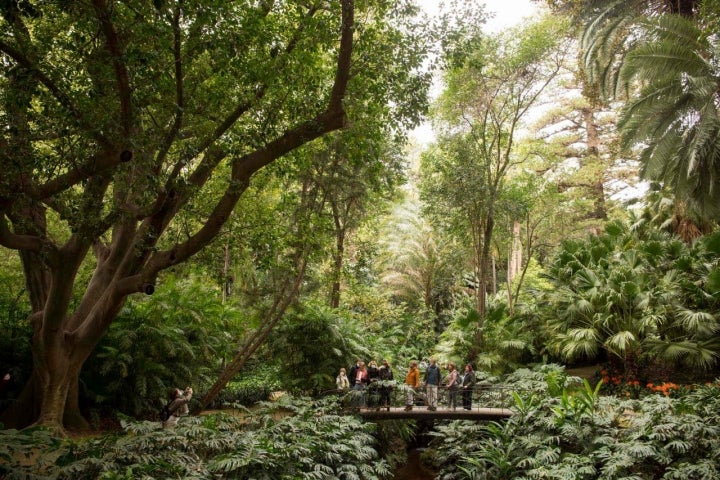 Paseando por el puente del jardín histórico.