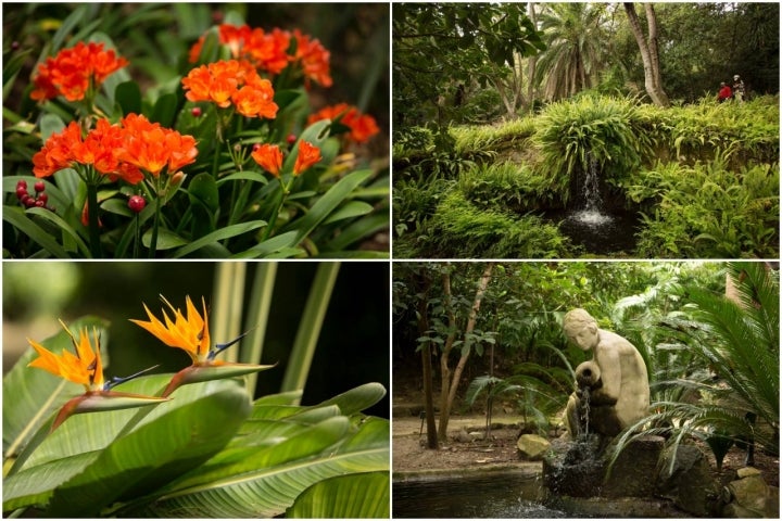 Detalles de diferentes rincones del jardín.