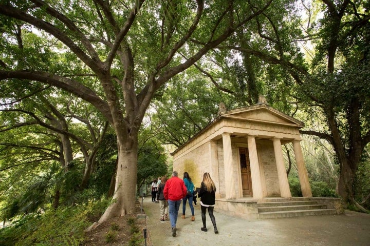 El Museo Loringiano.