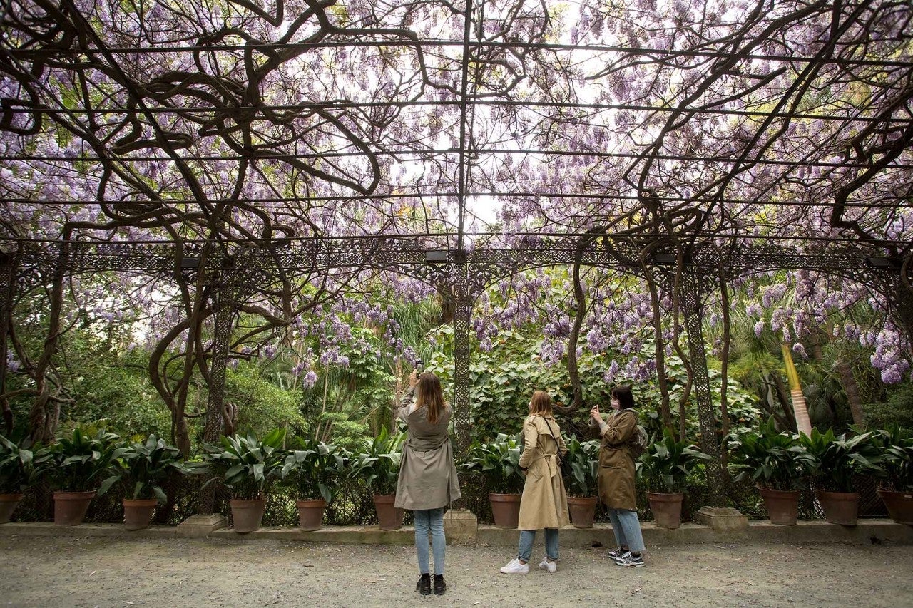 El jardín tropical que nació del amor