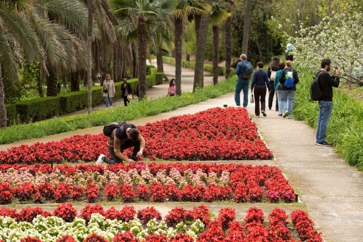 En el Jardín de los Sentidos.