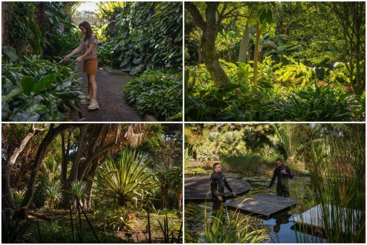 La exuberancia de este jardín te hace sentir que estás en plena selva.