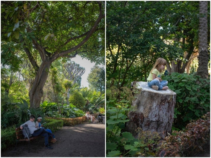 Jardín de la Orotava (Tenerife)