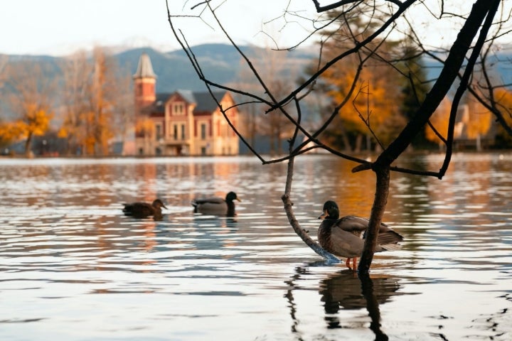 Estany de Puigcerdà en la Cerdanya.