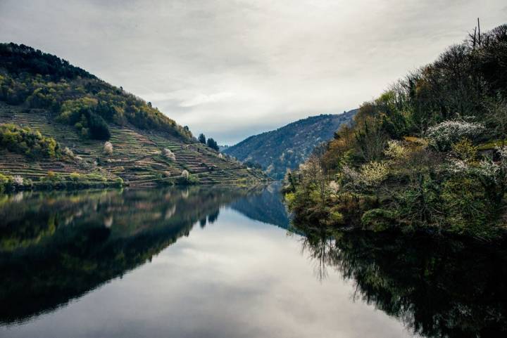 El rio Miño refleja su naturaleza.