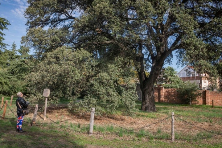 Quinta Torre Arias