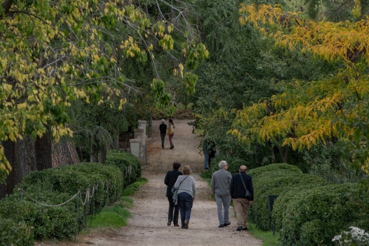 Quinta Torre Arias