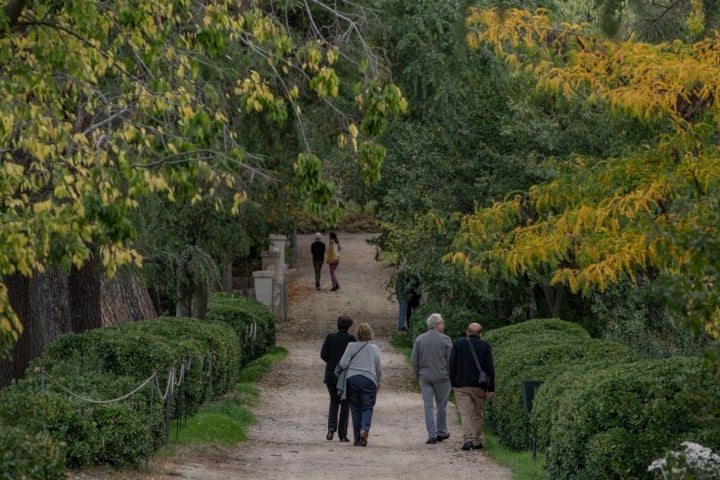 Quinta Torre Arias