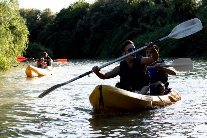 Este tipo de canoas, diseñadas para pasear y hacer turismo náutico, tienen muchísima estabilidad