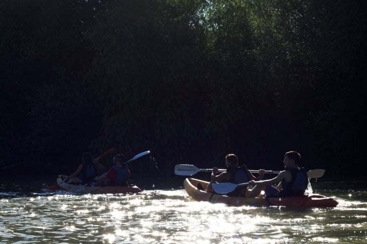 En la superficie del río centellean los reflejos del sol creando sorprendentes efectos y contrastes con la arboleda que acaricia el río con sus ramas.