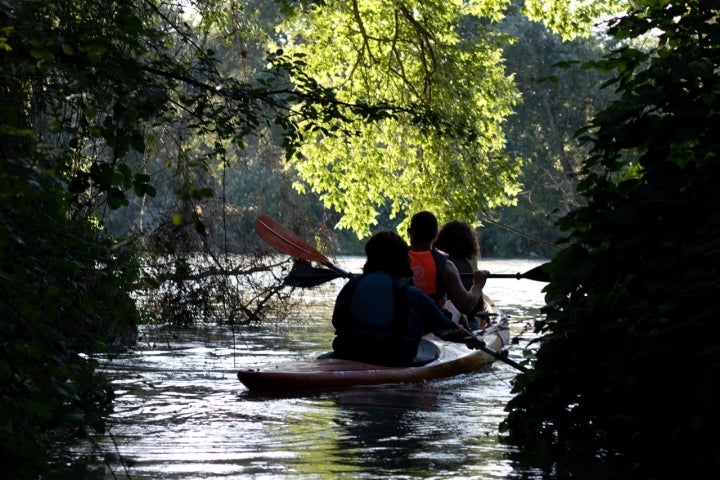 Salida del arroyo Guadalatín, un entrante estrecho de 2 km cubierto de lianas y bóvedas vegetales.