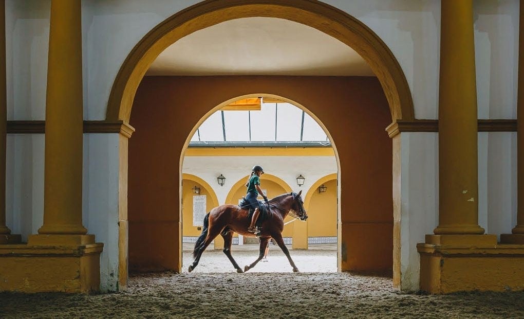 Jinete montando a caballo.