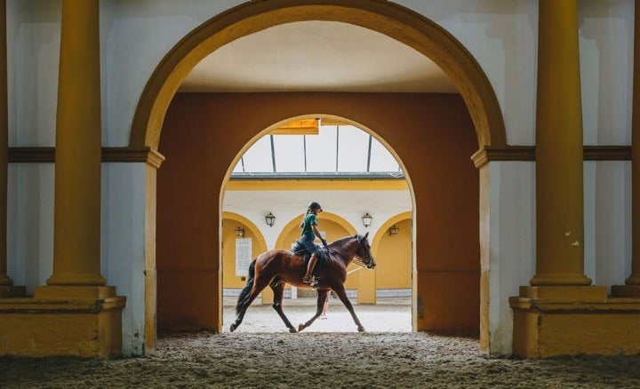 En Jerez el caballo siempre está presente.