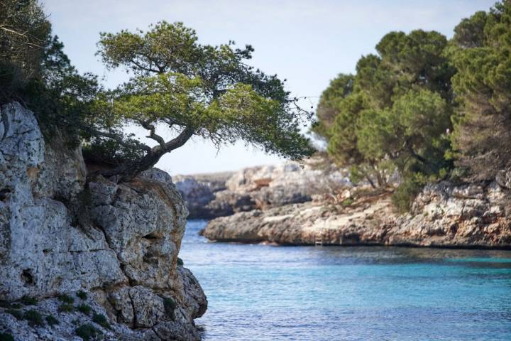 Playas de Santanyí (Mallorca): Cala Ferrera