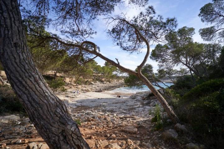Playas de Santanyí (Mallorca): Caló d’es Borgit