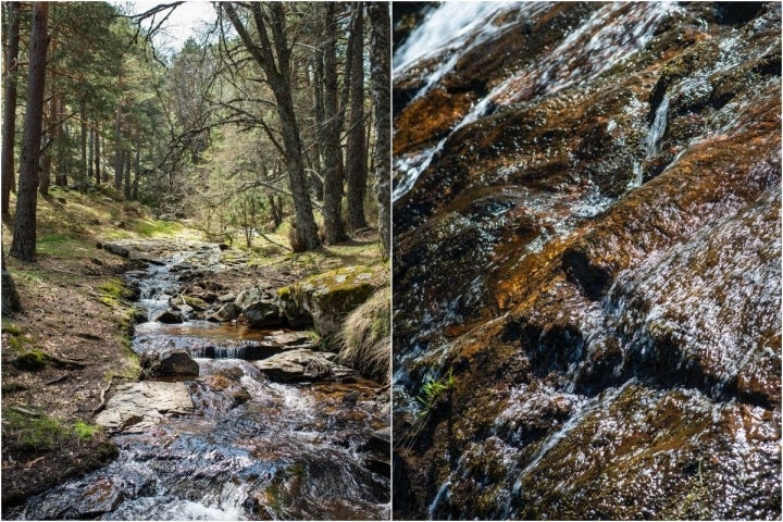 Cascadas de Sierra de Guadarrama: Chorrera de Mojonavalle