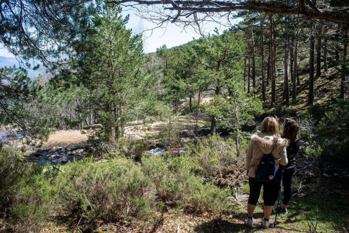 Cascadas de Sierra de Guadarrama: Chorrera de Mojonavalle