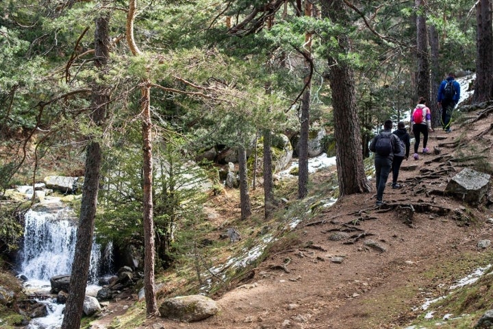 Cascadas de Sierra de Guadarrama: La Ducha de los Alemanes