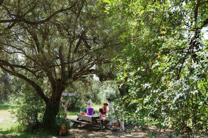 Una familia celebra un cumpleaños bajo la sombra de los árboles en el Parque del Patriarca.
