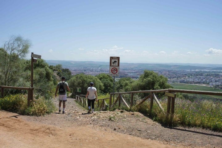 Pareja caminando por sendero.