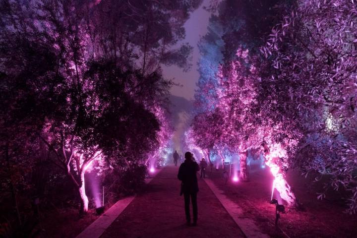 El tramos final de la exposición Naturaleza Encendida de las luces de Navidad del Jardín Botánico