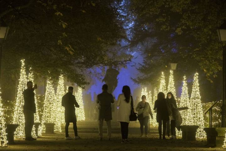 Árboles de Navidad en el Paseo de Carlos III del Real Jardín Botánico