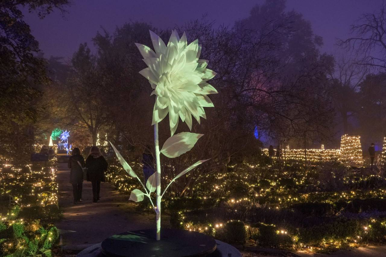 Una escultura de una flor adorna uno de los paseos del recorrido del Jardín