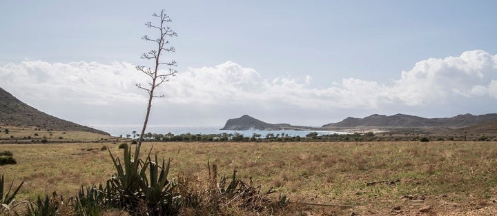 Playa de Genoveses.