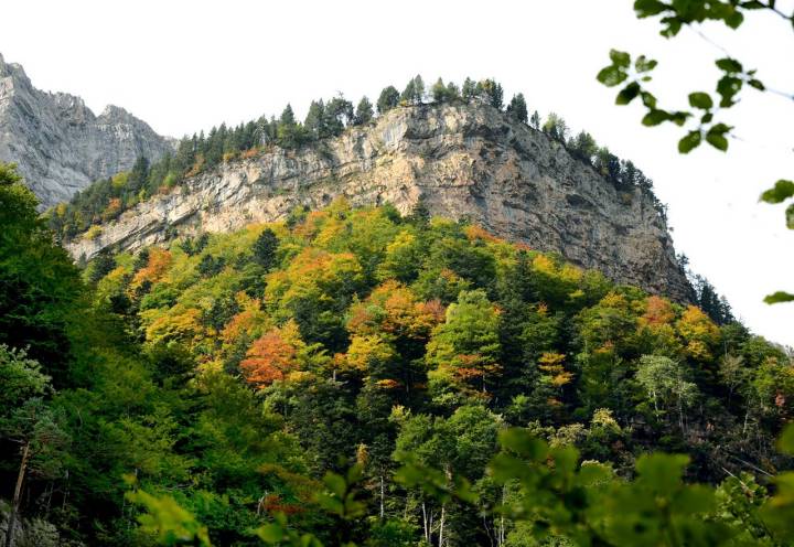 Valle de Ordesa - otoño