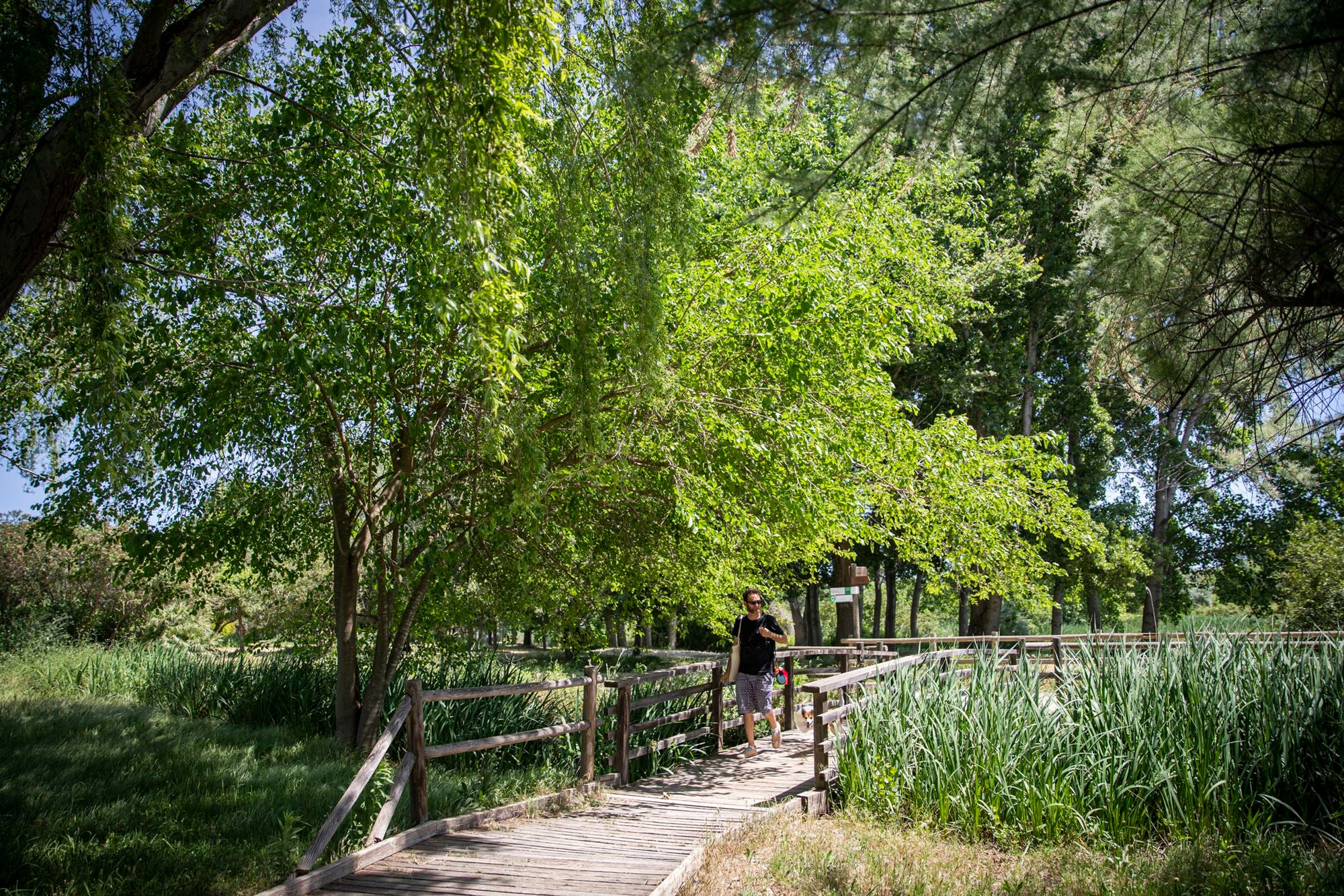 Los Borja en la Com. Val. Etapa 1 jardines de 'Alquería