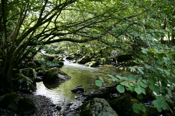 Río Ansón en los collados del Ansón (Cantabria).