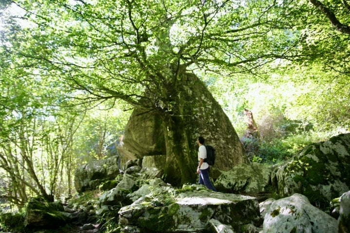 Senderitas en la ruta en los collados del Ansón (Cantabria).