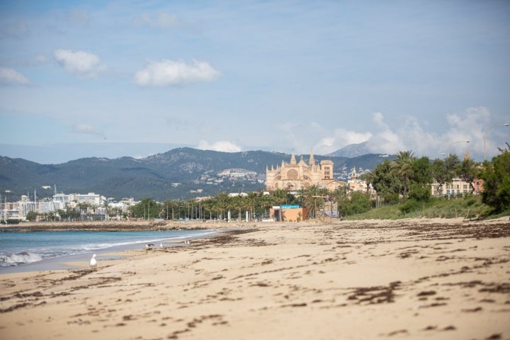 Suele estar muy concurrida por los palmesanos, al ser la playa más próxima al centro. C’an Pere Antoni es la mejor opción para disfrutar de las espléndidas vistas a la bahía de Palma. acercándonos a ella con una tranquila caminata por el paseo marítimo o haciendo uso del carril bici, que se extiende entre Porto Pi y Ciutat Jardí, que han permanecido semivacíos durante la cuarentena.