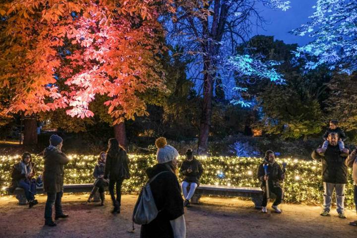 Muchos madrileños no han querido perderse la primera Navidad del Jardín Botánico