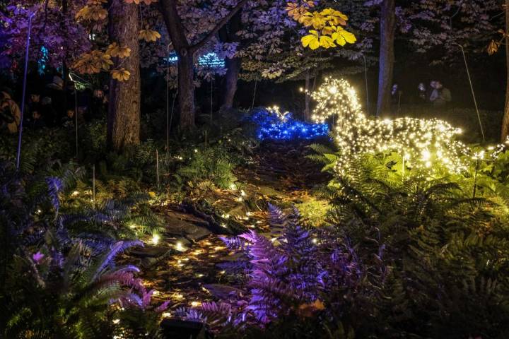 Unicornio de luces en el Bosque de las Hadas.