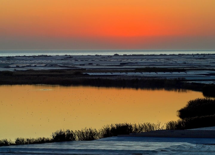 Albufera de Adra. Almería