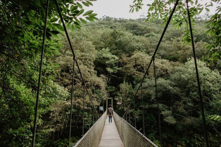 Una mujer de espaldas en un puente colgante en el parque natural Fragas de Eume.