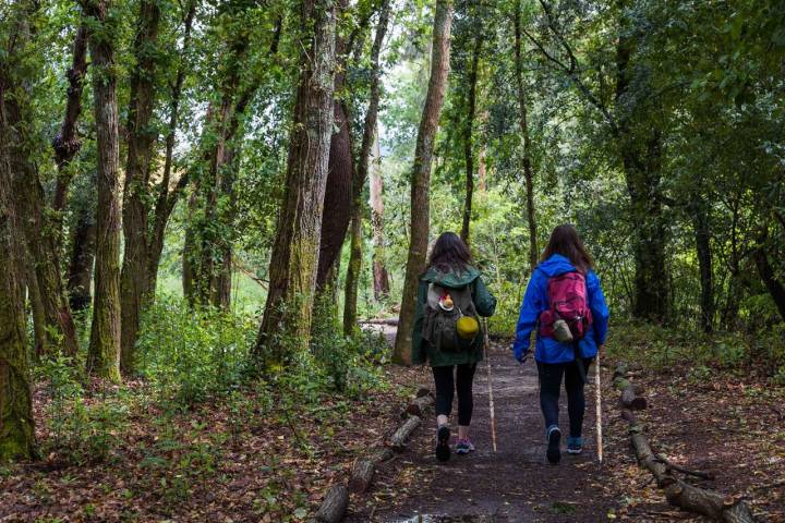 Dos mujeres caminan por un sendero del bosque de los Sentidos, en el municipio de Miño.