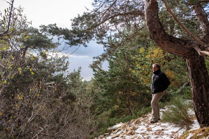 Peña de Cuervo (Guadarrama, Madrid)