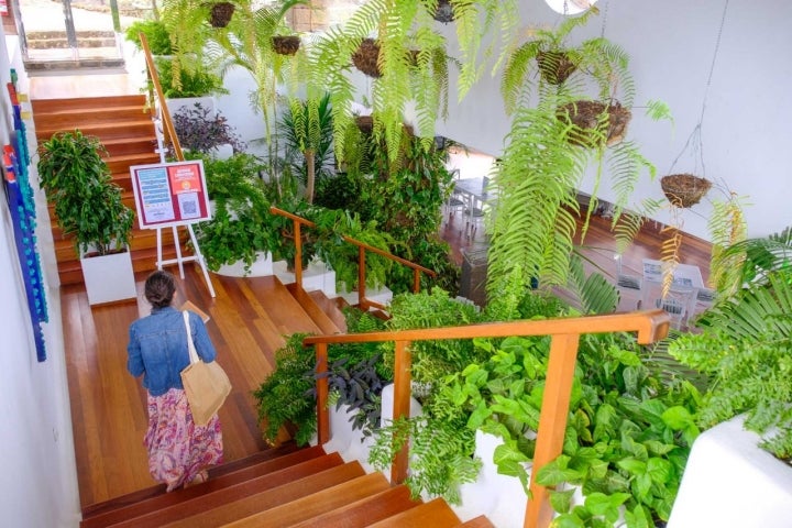 Las escaleras de entrada al restaurante del Mirador de La Peña