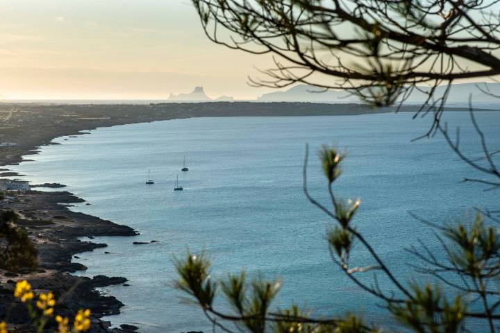 Miradores Formentera: Vistas de la costa de Tramuntana desde Racó de Sa Pujada