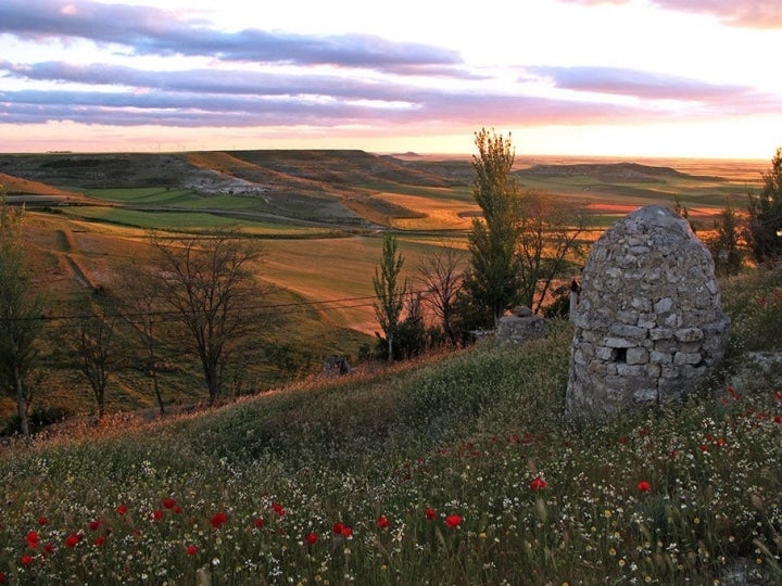 La estepa castellana desde el mirador de Tierra de Campos. Foto: Jacinta Iluch Valero. Flickr.