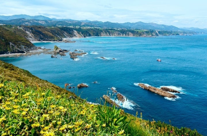 Entrantes y salientes que dan vida a calas prácticamente vírgenes. Foto: shutterstock.com