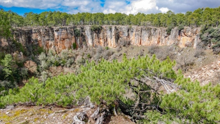 Si sufres vértigo, no te asomes. Foto: Shutterstock.