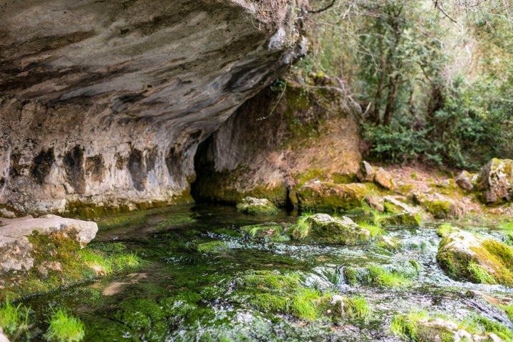 Manantial nacimiento río Cuervo