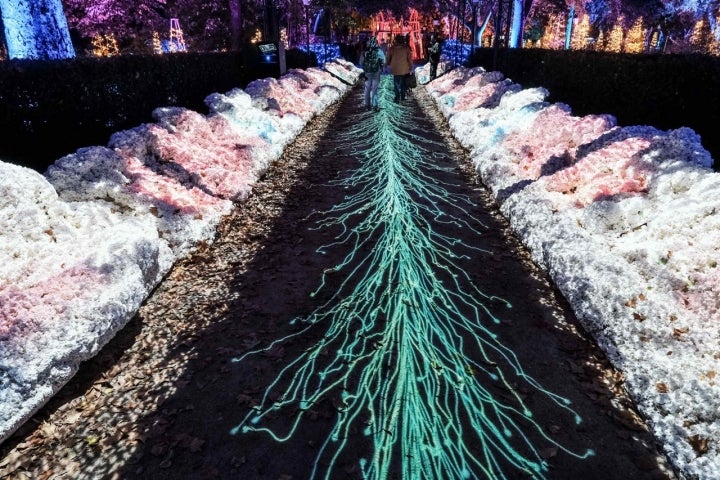 El suelo del pasillo Corrientes es una mar en movimiento en el Real Jardín Botánico con las luces de Navidad.