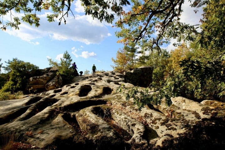 Necrópolis de Cuyacabras (Quintanar de la Sierra, Burgos)